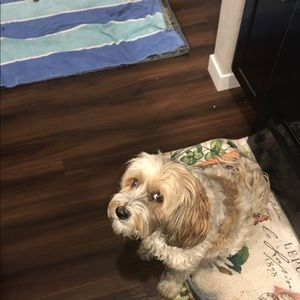 Meet your Posher, Ca